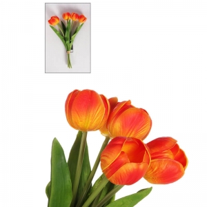 Ramo Tulipanes